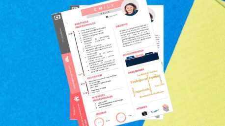 Curriculum Personalizado - Modelo DaVinci - Imagen 4