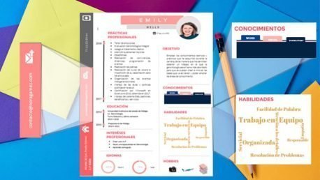 Curriculum Personalizado - Modelo DaVinci - Imagen 3