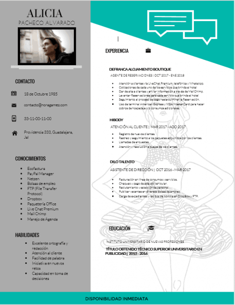 Curriculum Personalizado - Modelo Michelangelo