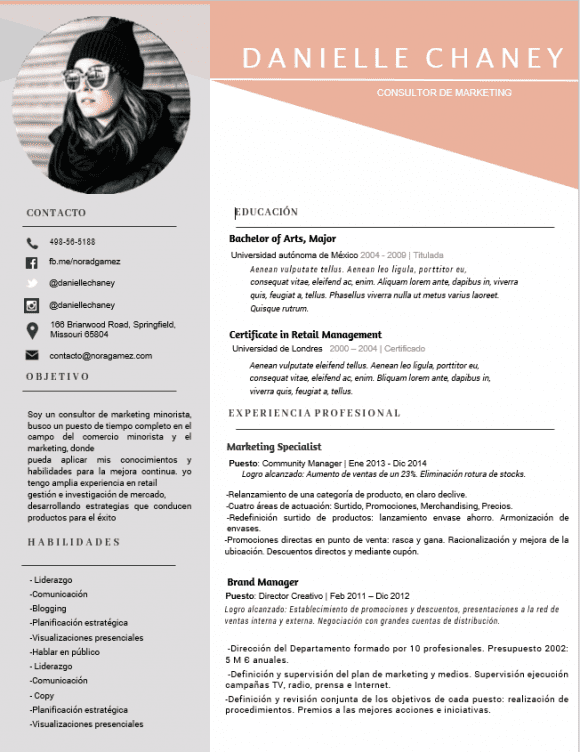 Curriculum Personalizado - Modelo Pisarro