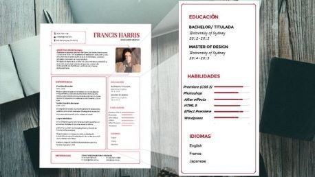 Curriculum Personalizado - Modelo Tiziano - Imagen 5
