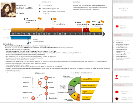 Curriculum Personalizado - Modelo Tesla - Imagen 3