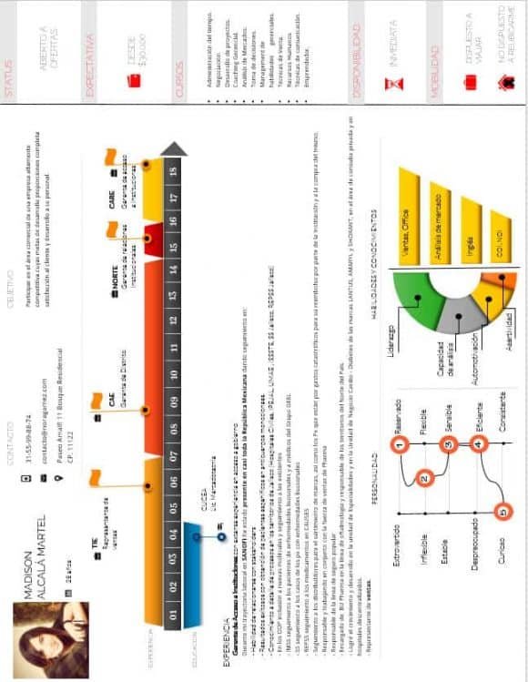 Curriculum Personalizado - Modelo Tesla