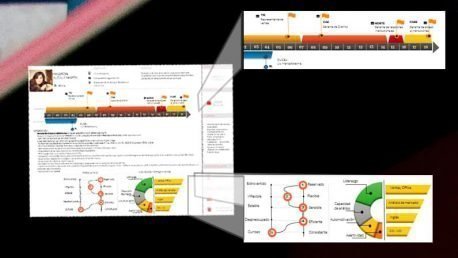 Curriculum Personalizado - Modelo Tesla - Imagen 2