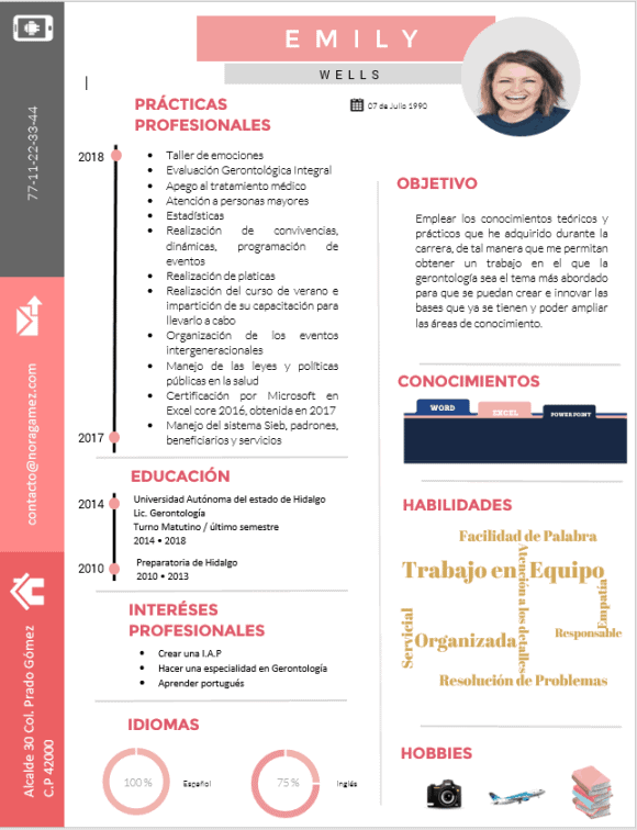 Curriculum Personalizado - Modelo DaVinci