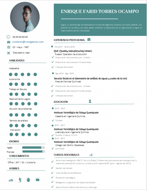 Curriculum Personalizado - Modelo Edison