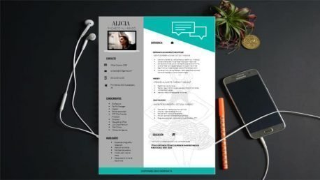 Curriculum Personalizado - Modelo Michelangelo - Imagen 4