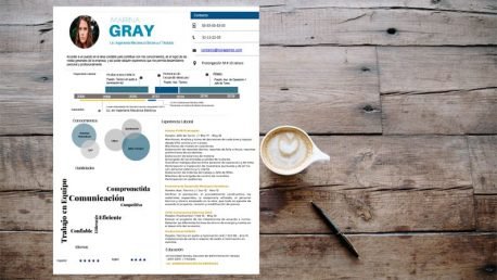 Curriculum Personalizado - Modelo Picasso - Imagen 5