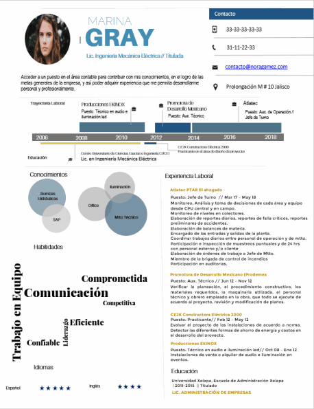 Curriculum Personalizado - Modelo Picasso