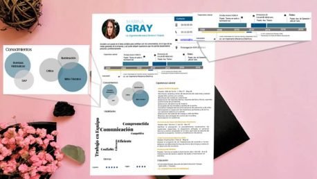 Curriculum Personalizado - Modelo Picasso - Imagen 3