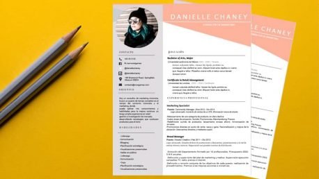 Curriculum Personalizado - Modelo Pisarro - Imagen 4