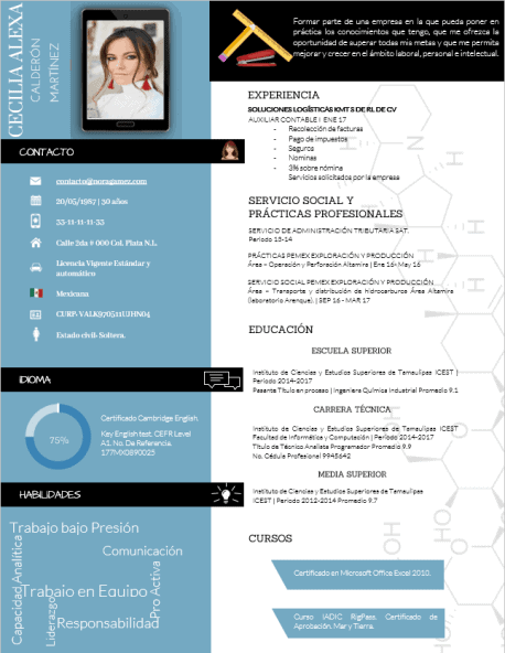 Curriculum Personalizado - Modelo VanGogh