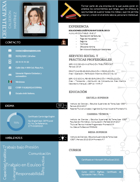 Curriculum Personalizado - Modelo VanGogh