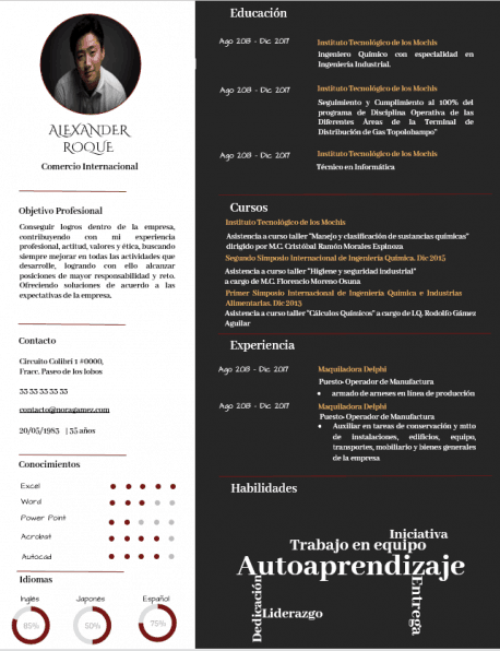 Curriculum Personalizado - Modelo Botticelli