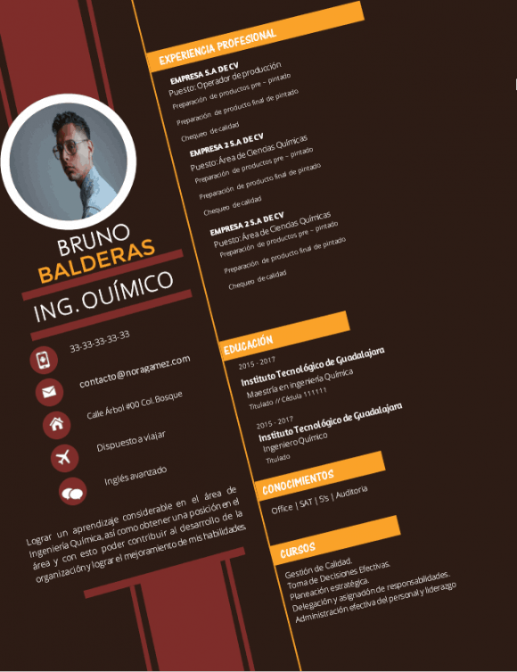 Curriculum Personalizado - Modelo Donatello