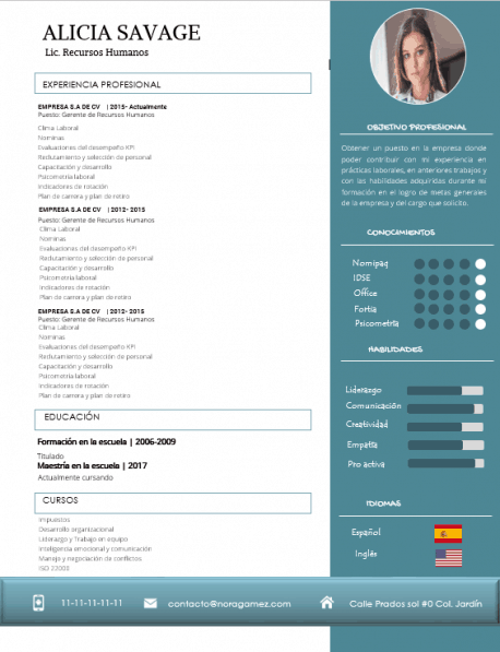 Curriculum Personalizado - Modelo Rodin