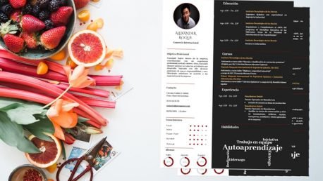 Curriculum Personalizado - Modelo Botticelli - Imagen 4