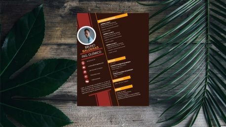 Curriculum Personalizado - Modelo Donatello - Imagen 4