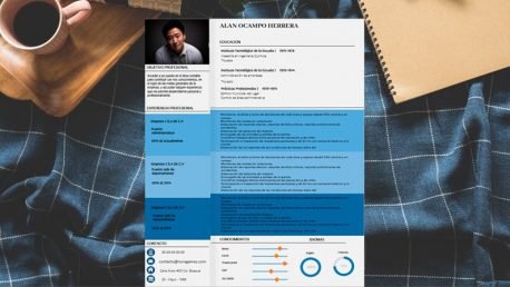 Curriculum Personalizado - Modelo Fidias - Imagen 4