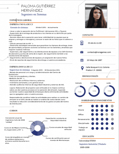 Curriculum Personalizado - Modelo Homer