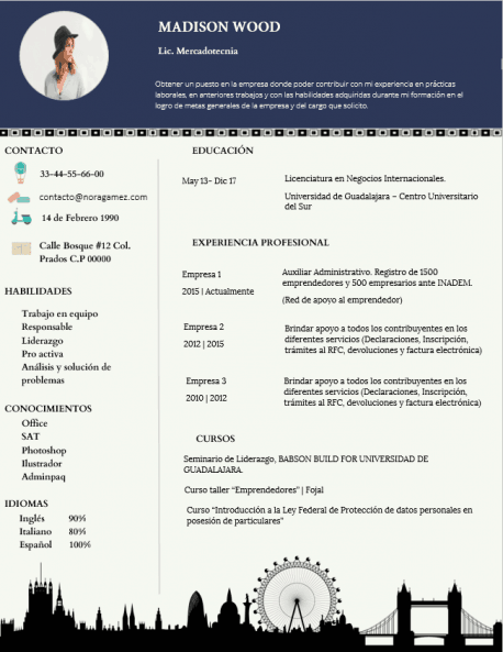 Curriculum Personalizado - Modelo Munch - Imagen 4