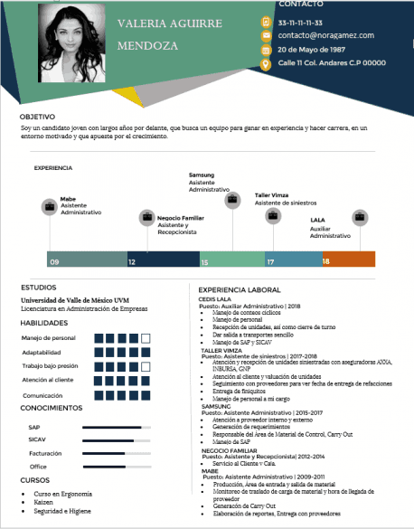Curriculum Personalizado - Modelo Blake