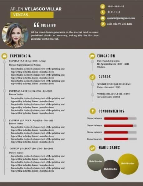 Curriculum Personalizado - Modelo Andy