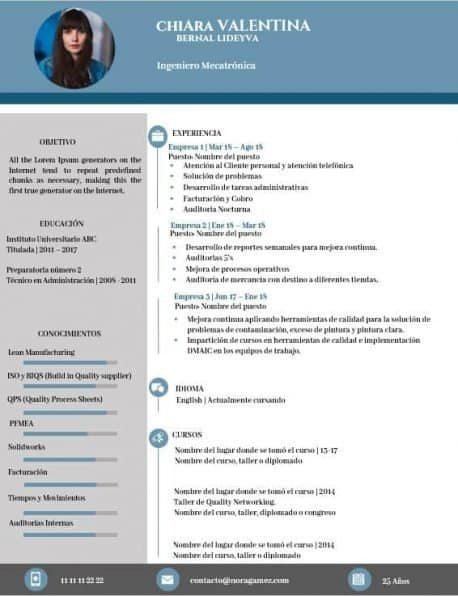 Curriculum Personalizado - Modelo Basquiat