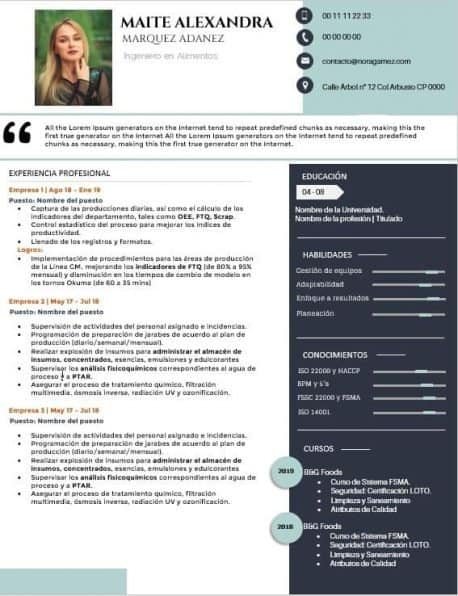 Curriculum Personalizado - Modelo Bosch