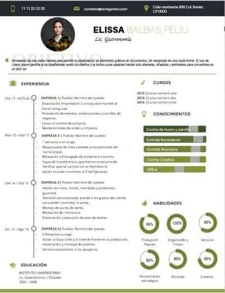 Curriculum Personalizado - Modelo Kandinsky