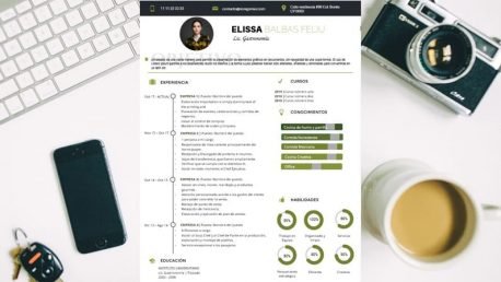 Curriculum Personalizado - Modelo Kandinsky - Imagen 4