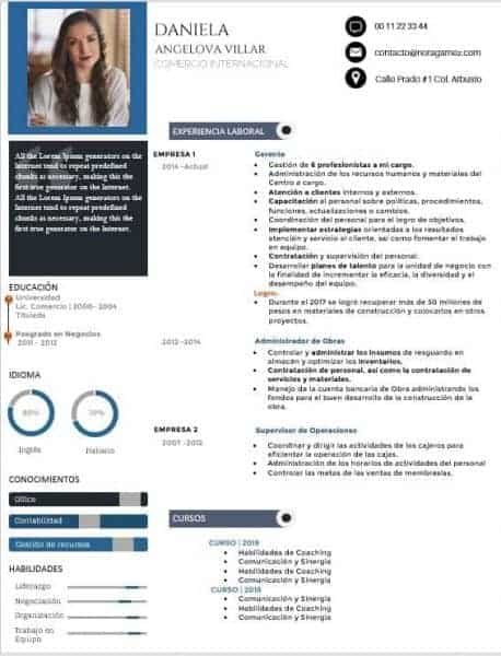 Curriculum Personalizado - Modelo Mantegna - Imagen 2