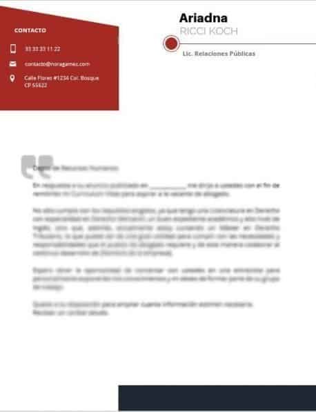 Business Pack - Imagen 3