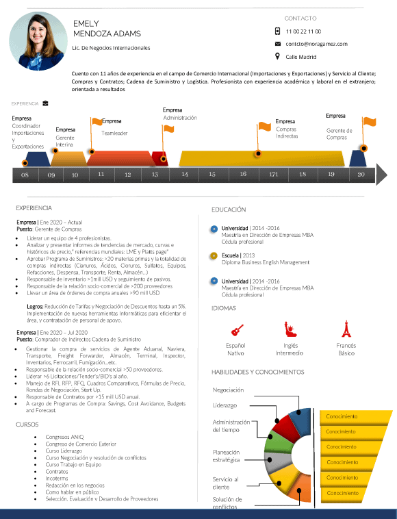 Curriculum Personalizado - Modelo Sisley