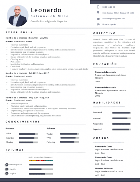 Curriculum Personalizado - Modelo Pollock