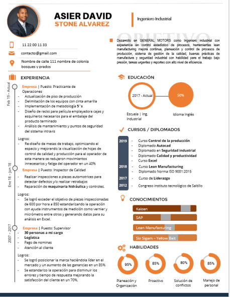 Curriculum Personalizado - Modelo Beckmann