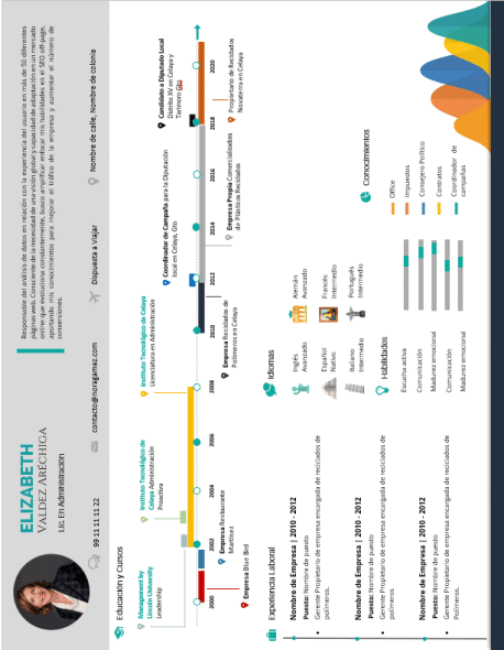 Curriculum Personalizado - Modelo Vermeer