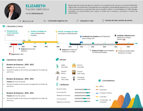 Curriculum Personalizado - Modelo Vermeer - Imagen 4