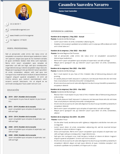 Curriculum Personalizado - Modelo Arco