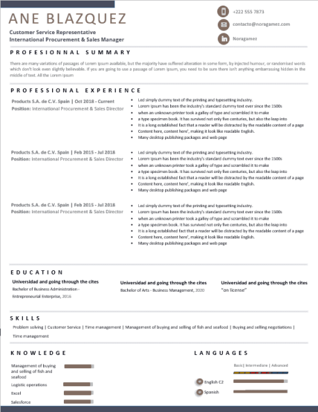 Curriculum Personalizado - Modelo Curie - Imagen 4