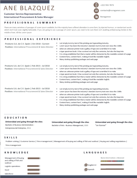 Curriculum Personalizado - Modelo Curie