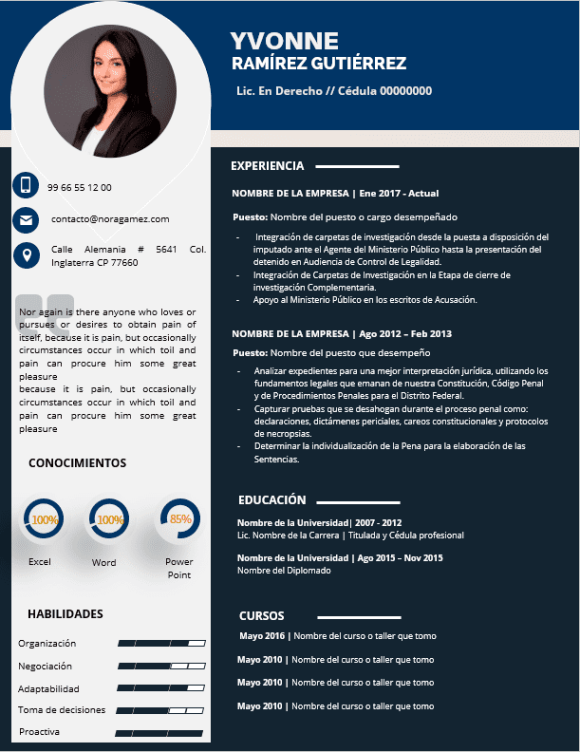 Curriculum Personalizado - Modelo Márquez