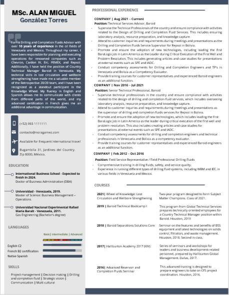 Curriculum Personalizado - Modelo Dariel