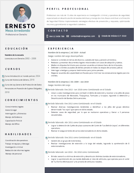 Curriculum Personalizado - Modelo Emiliano