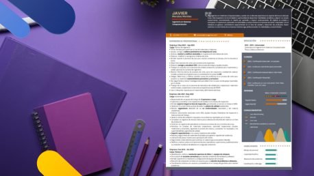 Curriculum Personalizado - Modelo Zindel - Imagen 2