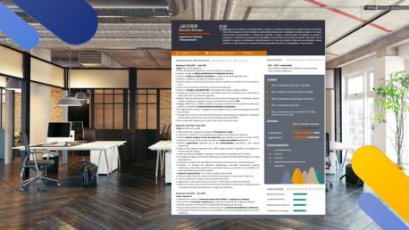 Curriculum Personalizado - Modelo Zindel - Imagen 4