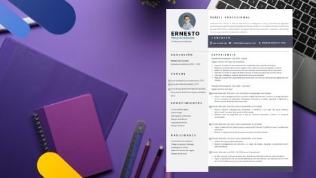 Curriculum Personalizado - Modelo Emiliano - Imagen 2