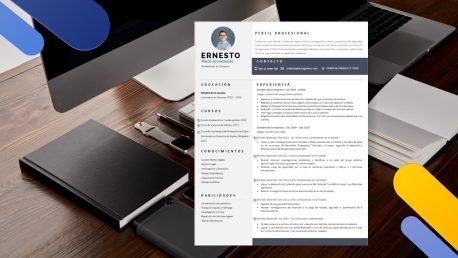 Curriculum Personalizado - Modelo Emiliano - Imagen 4